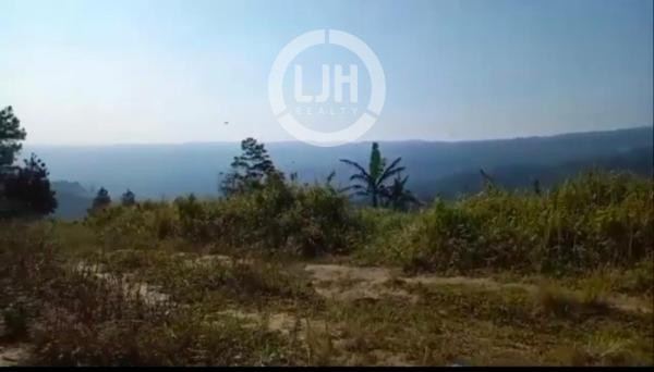 Tanah Perkebunan Buah di Bawang, Batang