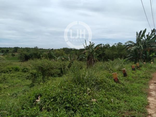 DIJUAL TANAH 11 HEKTAR DI MAJA – INVESTASI STRATEGIS DENGAN POTENSI NILAI TINGGI