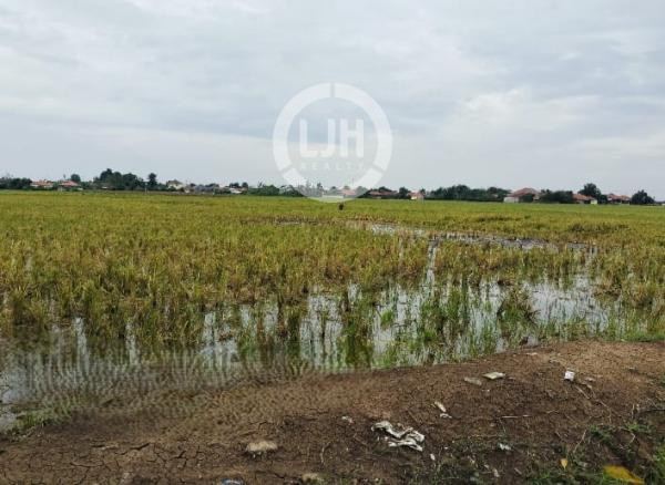 5 Hektare di Karang Anyar Subang! Lahan Premium untuk Industri & Investasi