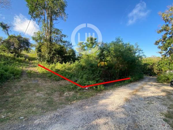 Affordable Luxury: 1 Are Freehold Land Plot for Sale in Goa Gong, Kutuh