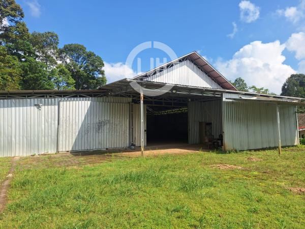 Gudang Strategis daerah Boja. Kendal-11640