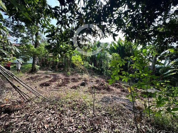 Dijual Murah Tanah di Pancoran Mas Depok