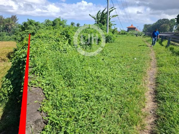 Land For Sale In Main Road Ida Bagus Mantra, Tulikup, Gianyar, With Beautiful Ocean and River View