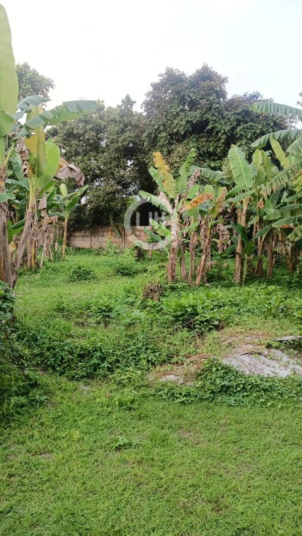 Tanah Disewakan Kawasan Curug Nagrog Tangerang