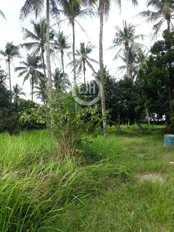 Tanah Siap Pakai Lokasi Strategis di Pasar Gandoang, Cileungsi, Bogor.