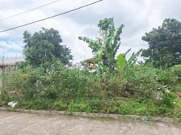 Kavling DS Piyoto Tegal Gintungan Bandungan Jawa Tengah