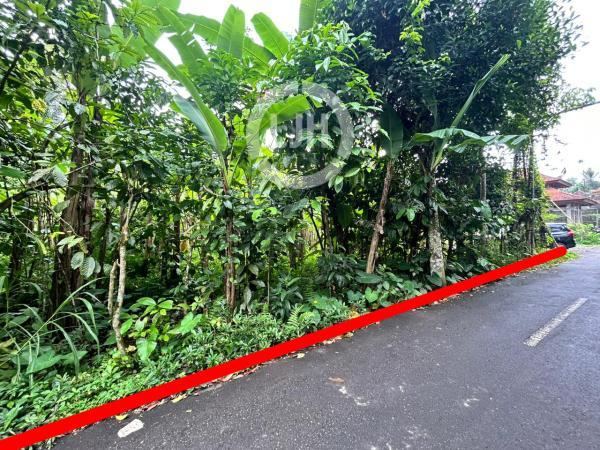 Land at Payangan, Gianyar, Suitable For Investment or Plantation, Located in Quiet Area, Surrounded By Villa, Close to Sidampuan Waterfall and Gianyar Botanical Garden