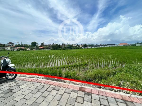 Land With Beautiful Rice Field View at Pererenan, Located In Quiet Area, Close To Babadan Beach and Pererenan Beach