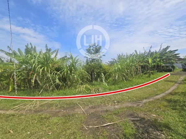 Land for rent at Selemadeg, Tabanan, Strategic location, good access, only 5 km to Klecung Beach