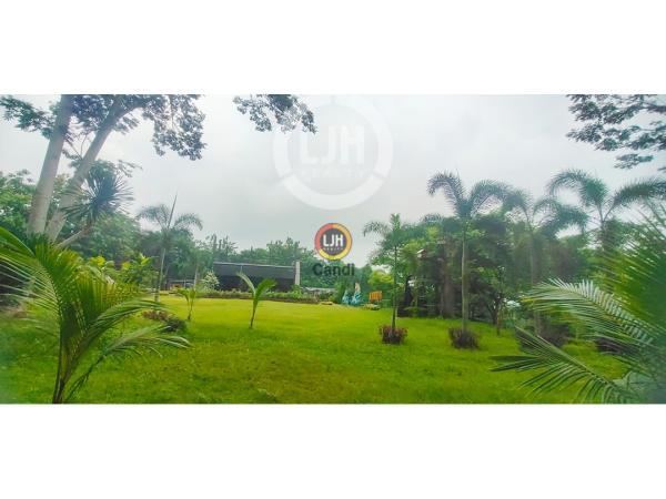Tempat Usaha di Kol R Warsito Gunungpati Semarang