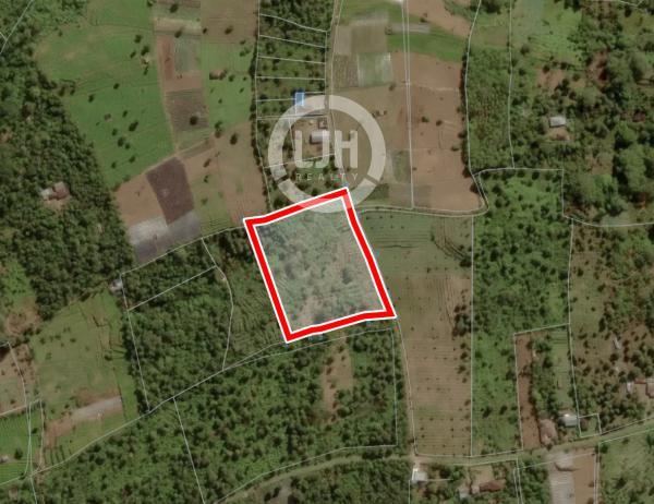 Land for sale at Kecamatan Banjar, Buleleng, strategic location, close to Tamblingan Lake, suitable for investment