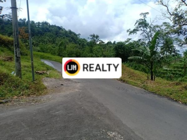 Dijual Tanah. Pinggir Jalan, ada sungai. Dekat Gua Maria - Tawangmangu.