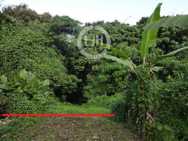 Affordable Land For Sale At Bongan, Flood Free Area , Suitable For Residential Or Boarding House, Close To Main Road Of Dr. Ir. Soekarno Tabanan, Kasih Ibu General Hospital And Mengwi Terminal