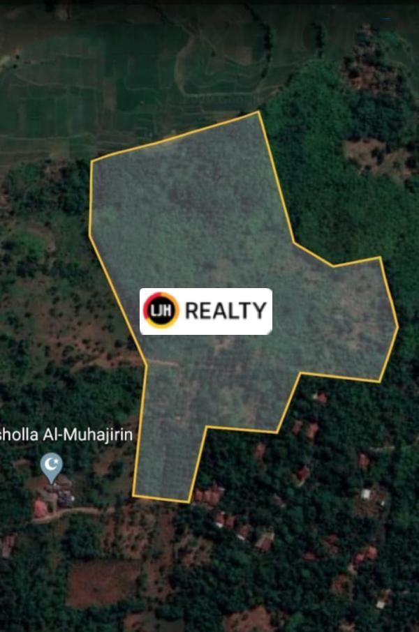 Dijual Tanah 3.8 Ha di Suka Raya Ciriu Jonggol Bogor