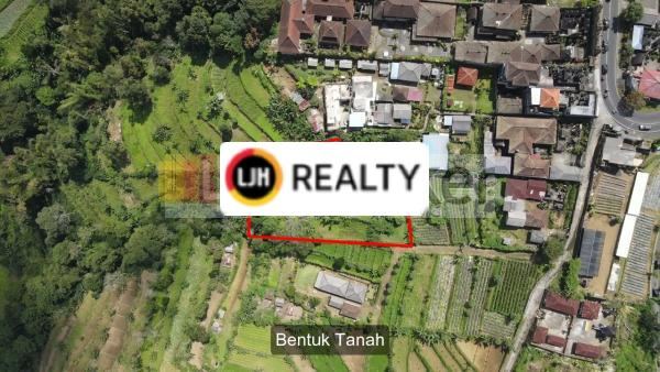 Land in Bedugul, Tabanan With Beautiful View, Suitable for Agrotourism 