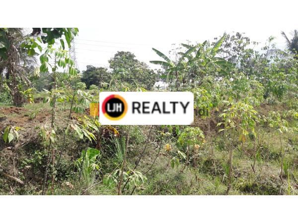 Kavling di Bergas Lor Klepu, Ungaran