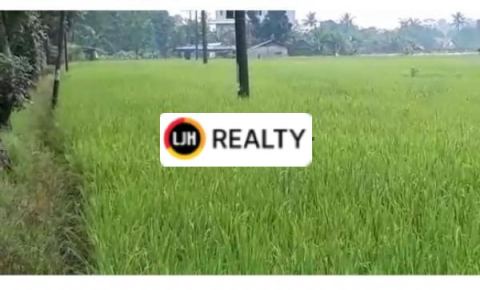 Sawah Produktif 1 Hektar Lebih di Karawang Barat