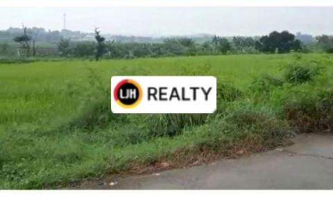 Tanah Sawah Luas 12.505 M2 masih produktif di Karawang