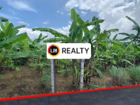 Cheap Land for Rent with Land size 157 m2 in Penatih, Denpasar Utara. Only 5 minutes to Living World Denpasar.