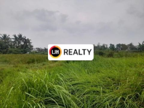 Tanah Dan Rumah Cocok Untuk Membuat Perumahan Baru Atau Ruko di Babelan Bekasi