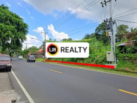 Land In Main Road Denpasar Singaraja, Mengwi, Badung, Busy Area, Suitable For Business