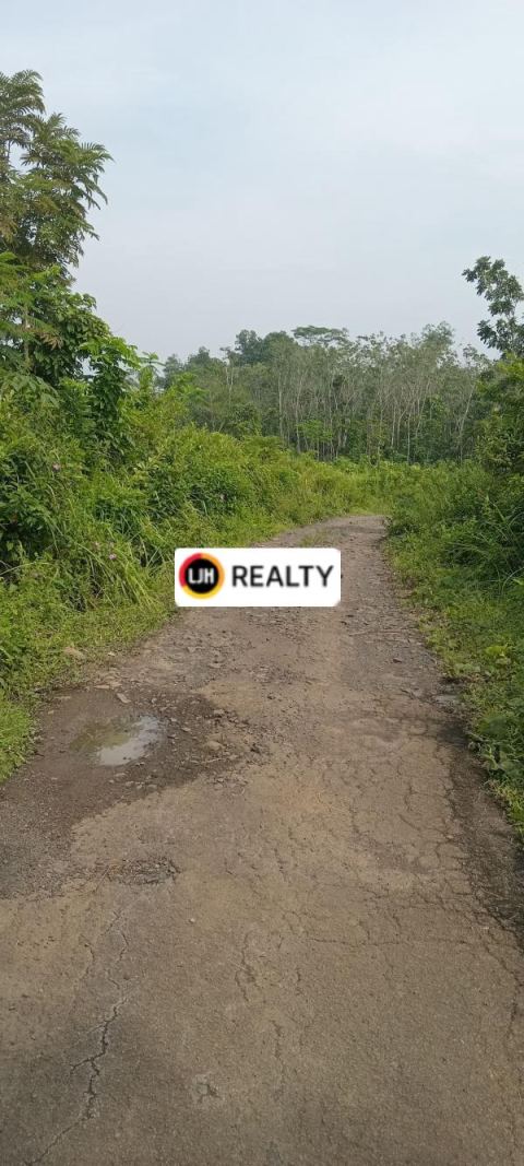 Jual Tanah Luas 7568m2 di Cipadang, Cileles Banten 