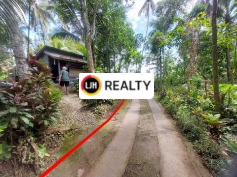 For Sale Plantation Land Suitable for Investment in Marga, Tabanan. Close to Alas Kedaton.