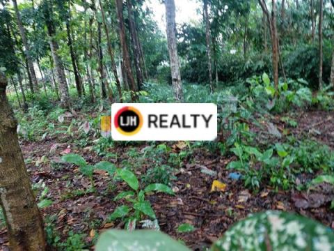 Kavling di Ungaran Sekaran Gunungpati Semarang