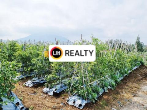 Kavling di Ngablak Kopeng Magelang