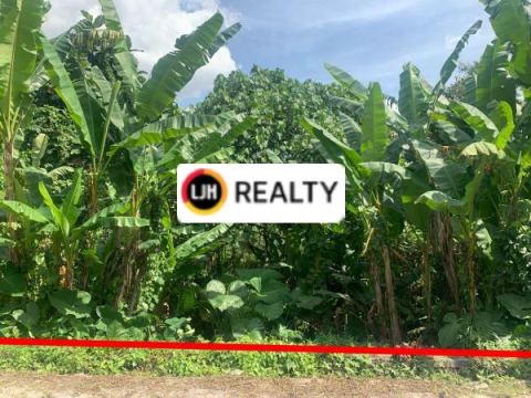 Land In Quiet Area Subamia Tabanan, Close To Tabanan City, Suitable For Housing Area