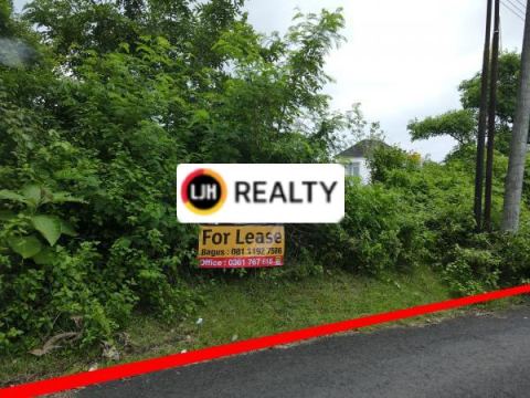 Land In Quiet Area Ungasan, Kuta Selatan, Close to Udayana University and Garuda Wisnu Kencana