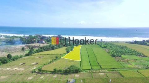 Land in Yeh Gangga Beach, Tabanan With Beautiful Ricefield And Ocean View, Walking Distance To The Beach