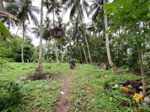 Land in Quiet Area Mas, Ubud, Close to Bali Zoo and Bali Bird Park