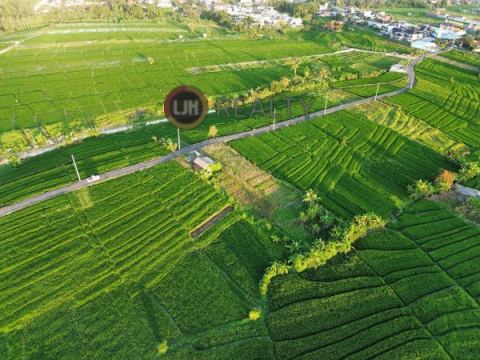 Dijual Tanah Munggu Badung Bali Dekat Pantai Munggu
