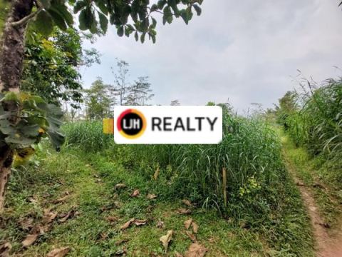 Kavling Dsn Klampeyan Noborejo Argomulyo Salatiga