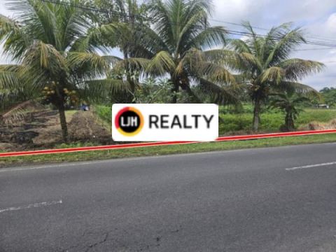 Land for rent at Penebel, Tabanan, strategic location, close to Natural Hot Spring