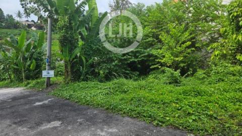 Dijual Tanah Luas di Desa Nyitdah, Tabanan Bali