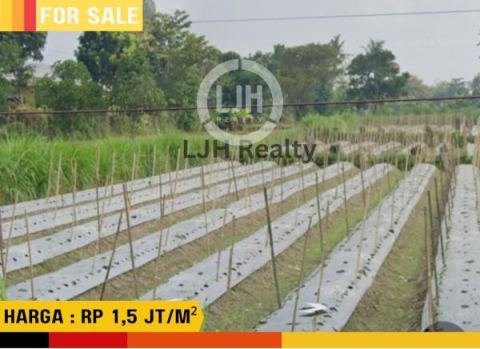 Tanah Medari Kawasan Industri 