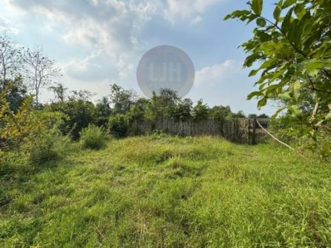 Tanah Perkebunan Jambu air di Cibarusah Luas 4.200 bisa digunakan sebagai perumahan, workshop, restoran, tempat wisata di Kampung Gempol Ridogalih Cibarusah, Cikarang Bekasi