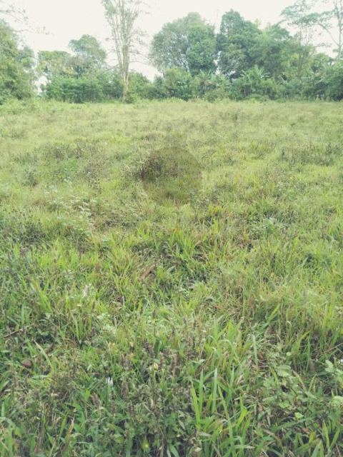 Tanah dijual kawasan sempur panongan tangerang