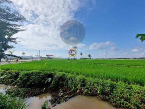 Kavling di DS KARANG TENGAH TUNTANG SALATIGA Jawa Tengah