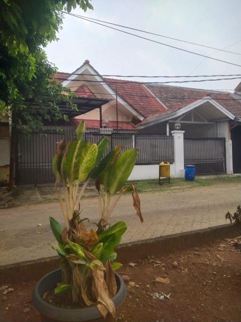 Disewakan Rumah Villa Melati Mas Serpong Tangerang Selatan