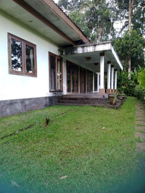 Dijual Tanah Bonus Bangunan di Bukian Jalan Payangan Gianyar Bali