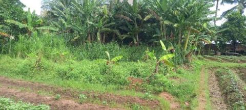 Tanah dijual kawasan balaraja tangerang