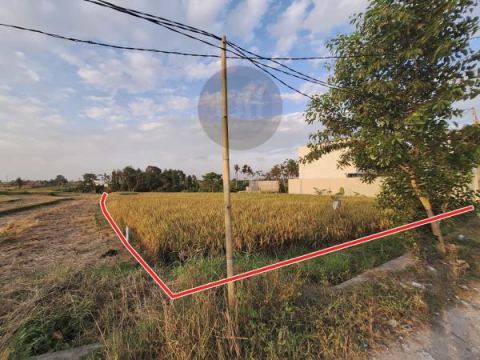 Land for sale at Munggu, strategic location, good access, close to Canggu and Tanah Lot area