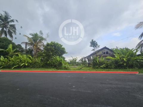 Land for sale at Pupuan, Tabanan, strategic location, good access, suitable for investment