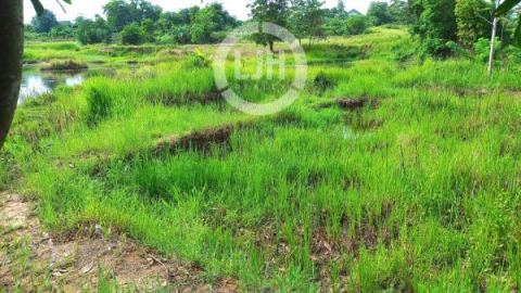 Tanah Strategis di Tenjo – Investasi Cerdas di Kawasan Berkembang Pesat!