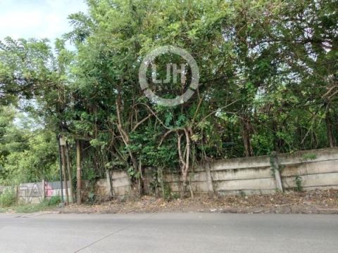 Dijual Tanah di Munjul, Tigaraksa – Lokasi Nyaman dan Potensial
