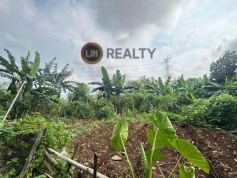 Tanah Jalan Raya Manunggal, Luas 3300m2, bisa dijadikan Perumahan, Gudang, Usaha Minimarket, SPBU, bisa kredit di Bank, Tambun Selatan, Bekasi