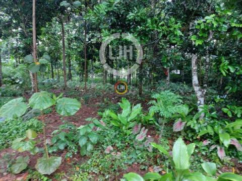 Kavling di Ungaran Sekaran Gunungpati Semarang